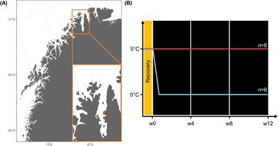 Impact of climate change on the kelp Laminaria digitata – simulated Arctic winter warming